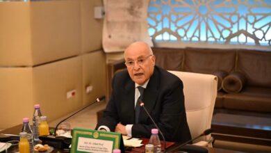 Minister Attaf Calls for African Crisis Solutions