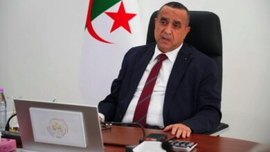 Minister Adjal Calls for Rational Gas Consumption Culture
