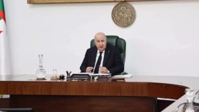 Council of Ministers Outlines Support for Fire Victims, Civil Protection