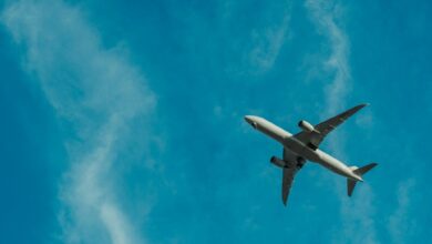 Algiers Becomes Top Air Destination from France for Summer 2026