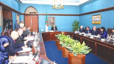 Premier Ghrib Guides National Market Regulation Initiatives
