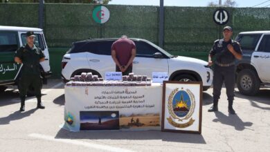 Laghouat Customs, Gendarmerie Seize 16,900 Pregabalin Tablets