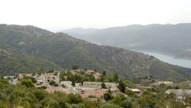 Intersectoral Panel Launched for Forest Housing Safety Law