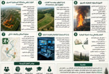 Intelligent Model Proposed for Next-Generation Fire Management