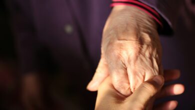 Sétif Hosts Algerian-Turkish Parkinson's Disease Experts