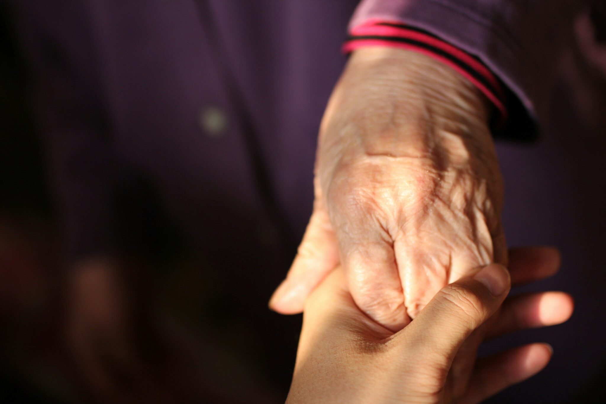 Sétif Hosts Algerian-Turkish Parkinson's Disease Experts
