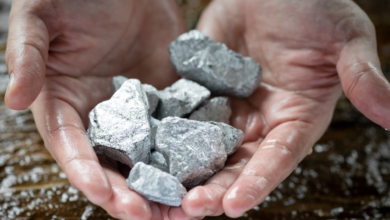 Scientists Mobilize for Algeria's Rare Earth Resource Assessment