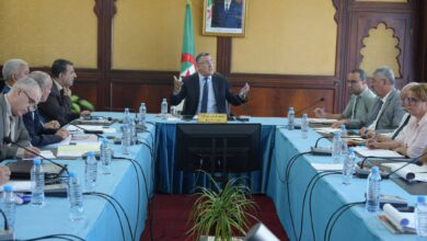 Interior Wilayas Gain Desalinated Water Access, Cooperation Eyed with Saudi Firm