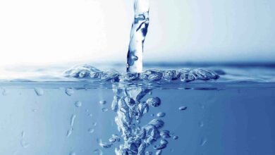 South-West Water Transfer Project Study Nears Completion