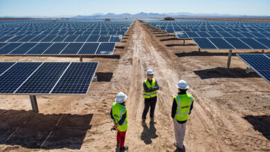 Renewable Sector in Algeria to See 51.42% Annual Growth