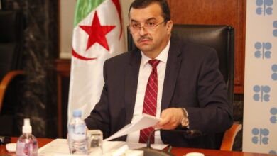 Energy Minister Arkab Arrives in Niger for Bilateral Talks