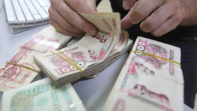 Algerian Finance Law Targets Purchasing Power, Development
