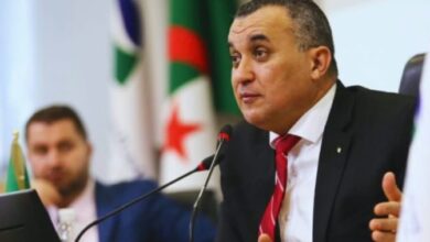 Fiber Optic Connections Top 4 Million Across Algerian Homes