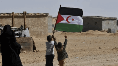 Russia Supports MINURSO Renewal in Western Sahara
