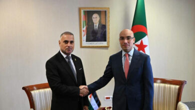 Sofiane Chaib Reaffirms Algeria's Steadfast Palestinian Support