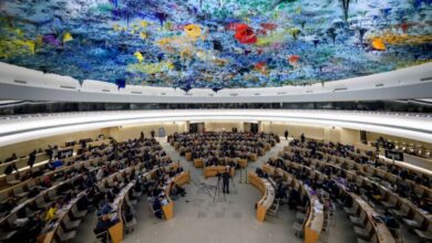 Geneva Session Passes AI and Human Rights Text; Algeria Helps Draft