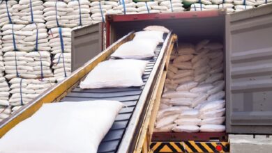 Brazil-Arab Trade Grows 5% with Algeria as Key Partner