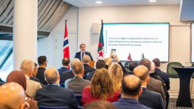 African Press Highlights Algeria's Sahel Digital Gateway Role