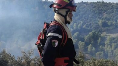 Emergency Crews Control 26 Blazes Across Algerian Regions