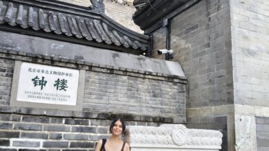 Beijing's Heritage Offers Model for Algerian Architecture Student