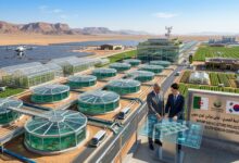 South Korea, Algeria Plan Desert Aquaculture Project