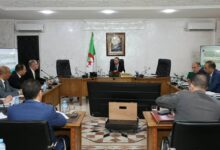 Interior Minister Directs Port Specialization, Djen Djen Takes Private Car Imports