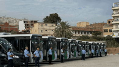 Béjaïa Receives 20 New Buses for Urban Transport