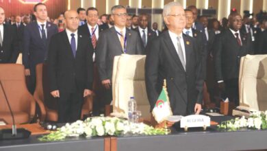 South Africa Highlights Algeria's Connectivity Project Leadership