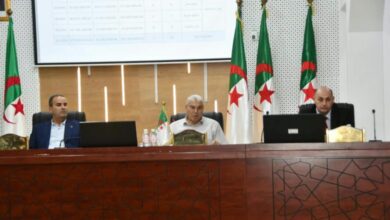Guelma Authorities Engage Producers for Agricultural Development