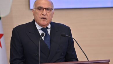 South Africa, Algeria Ministers Launch Partnership Implementation Meeting