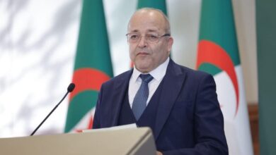 President Tebboune Commits Full Support to Journalism Sector