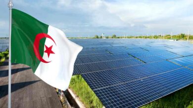 ALNAFT Promotes 2026 Bid Round at African Energy Week