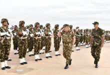 Sahel Partnership Reinforced by Algeria's Niger Plane Dispatch
