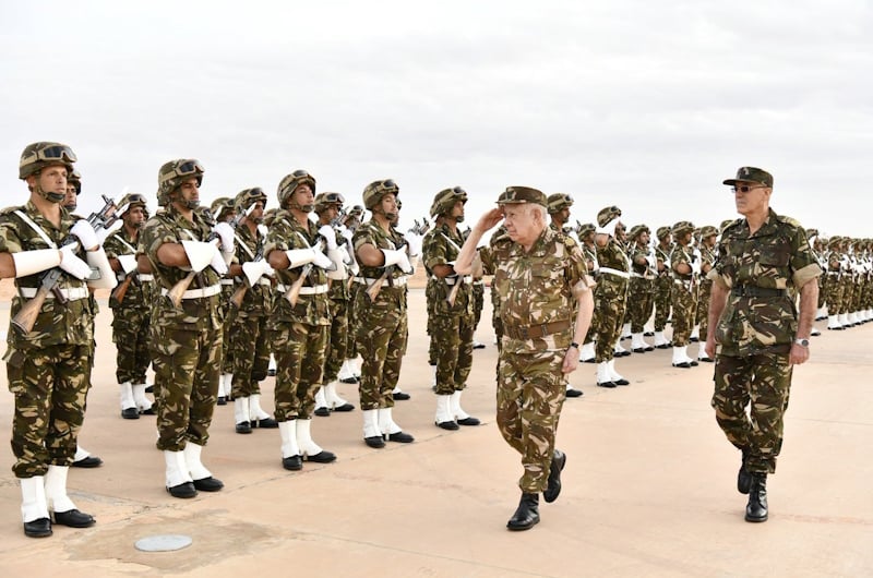 Sahel Partnership Reinforced by Algeria's Niger Plane Dispatch