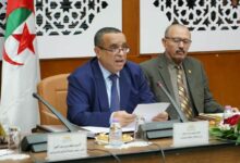 Over 107,000 Farms Connected to Electricity in Algeria