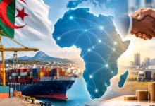 Companies Transition to Investment for Sustained African Economic Footprint