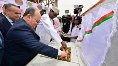Tebboune Affirms Algeria's Stability Role, Regional Development