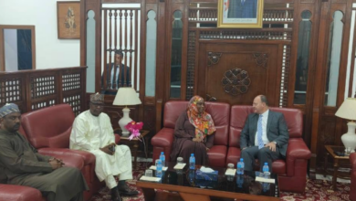 Algiers Hosts Nigerien Minister for Bilateral Cooperation Talks