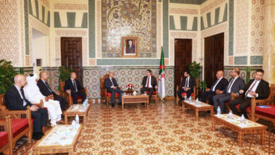 Algiers Port Development Explored by Council of Nation