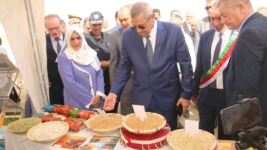 Minister Sayoud Initiates 2026-2027 Plowing, Sowing Season
