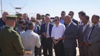 Saharan Agriculture Project Targets Food Security with Italy