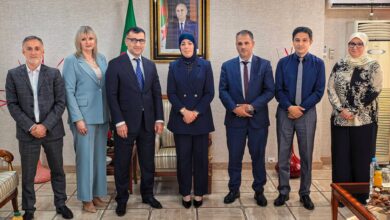Minister Ben Mouloud, Russian Council Head Discuss Digital Ties