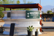 Researchers Balance Fish, Plant Growth in Arid Aquaponic Systems