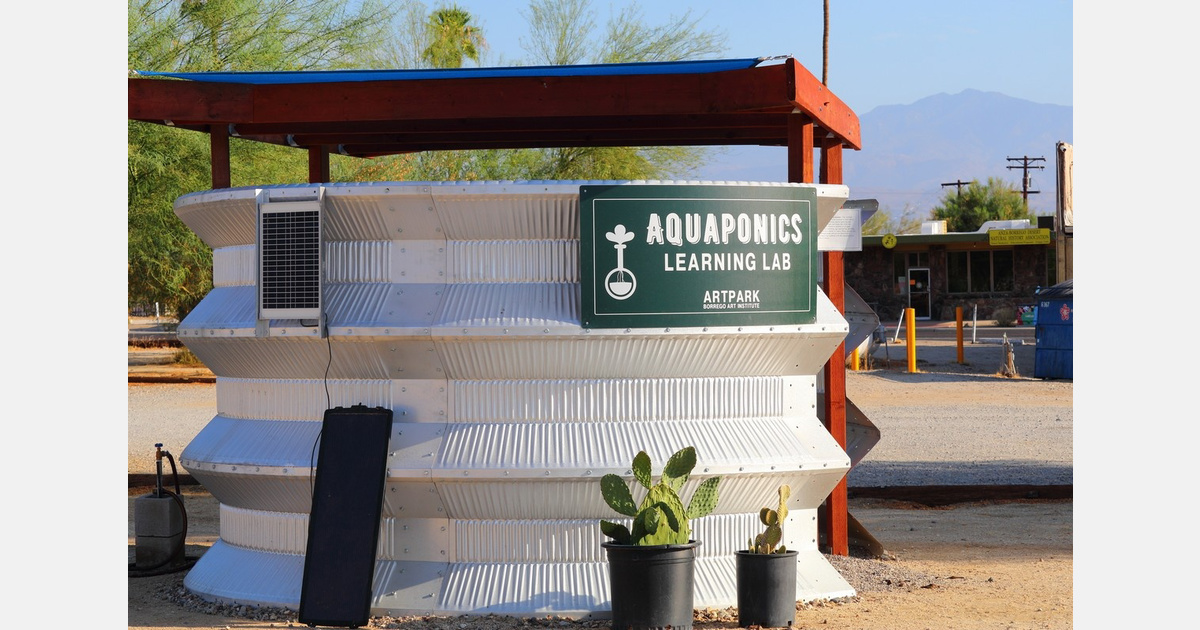 Researchers Balance Fish, Plant Growth in Arid Aquaponic Systems