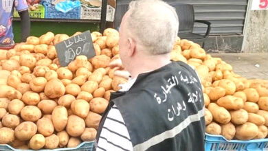 Authorities Set Potato Price at 90 Dinars Per Kilo