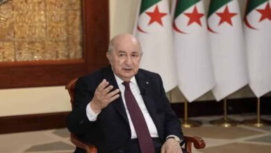 Tebboune Explains Su-30 Deployment, Nigerien Stability Pledge