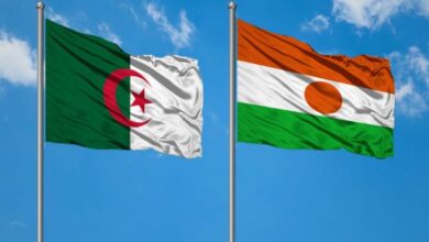 Trans-Saharan Gas Pipeline Sees Improved Security with Algeria