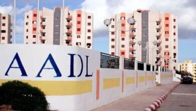 President Tebboune Confirms November 1 for First Adl 3 Housing Distribution
