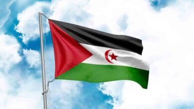 Security Council to Address Partial US Western Sahara Draft