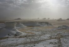 Ancient Rock Art, Geology Define Tassili n'Ajjer UNESCO Site